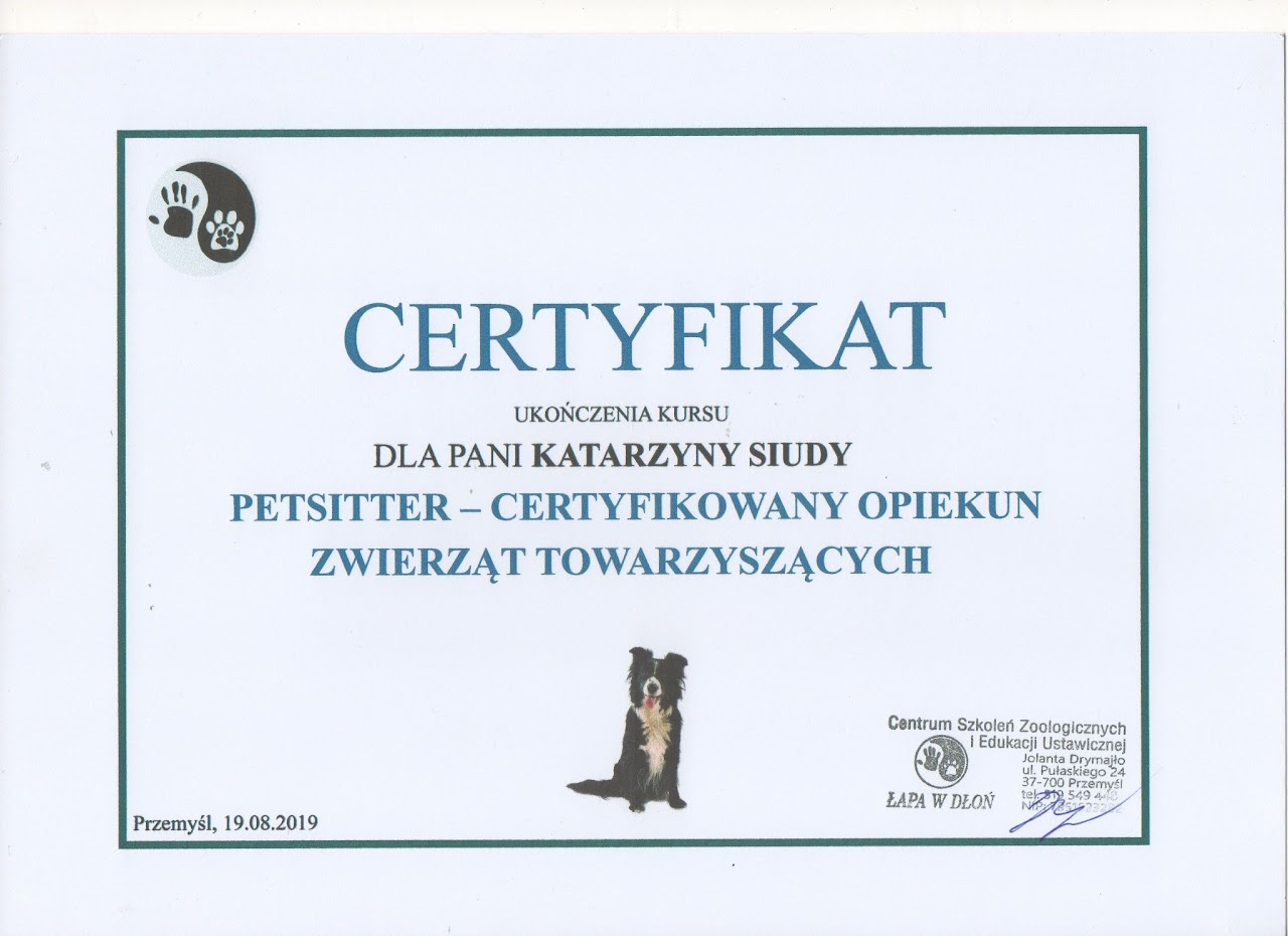 Certyfikat #9
